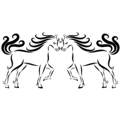 romantic couple in love playful horses with wavy mane and fluffy tail gallop raise hoof jump together