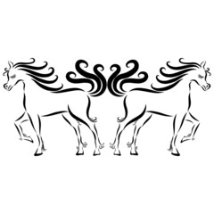 romantic couple in love playful horses with wavy mane and fluffy tail gallop raises hoof jump together