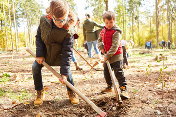 Kinder pflanzen zusammen Bäume bei einer Waldführung - obrazy, fototapety, plakaty