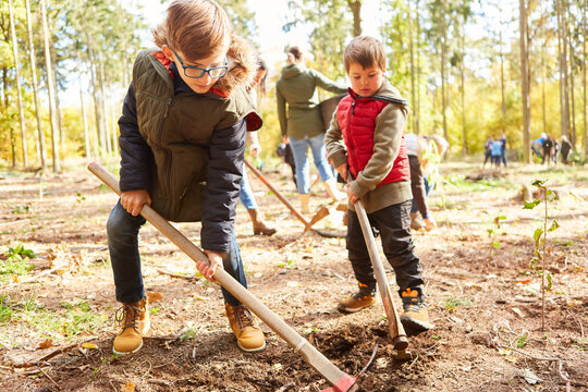 Kinder pflanzen zusammen B&auml;ume bei einer Waldf&uuml;hrung