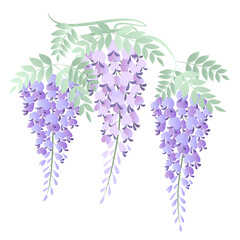 淡い紫の藤の花イラスト(3房)