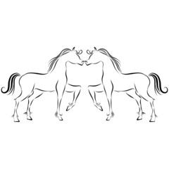 romantic couple in love playful horses with wavy mane gallop raises hoof jump