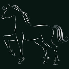 playful silver horse stallion with wavy mane gallops raises hoof