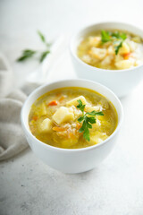 Homemade vegetable soup with millet
