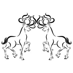 two Christmas deer with long black antlers are jumping and playing