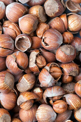 hazelnuts peeled from the shell