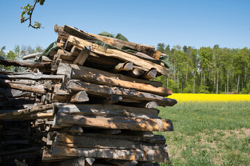 Holzstapel am Waldrand