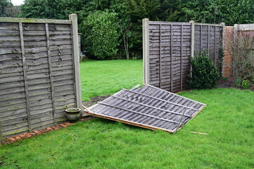 A blown down garden fence due to storm 