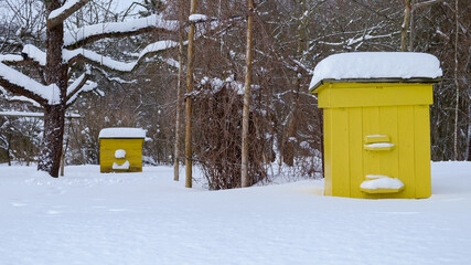 Bee hives were covered with snow in the cold winter. Beehives in the apple orchard in winter....