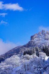 Fototapeta na wymiar 降り積もった雪の白さと青空が美しい冬の風景