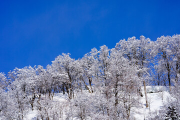 真っ青な空と降りたての雪の白さが鮮やかな雪山