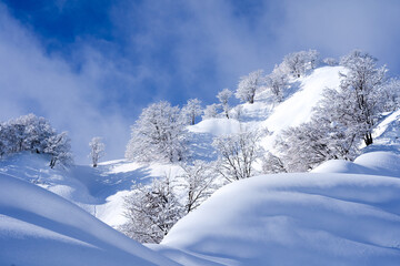 降りたてのふわふわした雪が野山を覆う冬の朝の風景