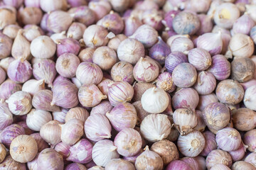 Elephant garlic meat, fresh garlic in the market table. Close-up photo. Vitamins, healthy food, spices. Image of spicy cooking ingredients, pile of white garlic cloves, white garlic cloves