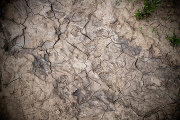 dried up lake bed