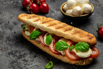 Healthy Grilled Basil Mozzarella Caprese Panini Sandwich. Delicious breakfast or snack, Clean eating, dieting, vegan food concept. top view
