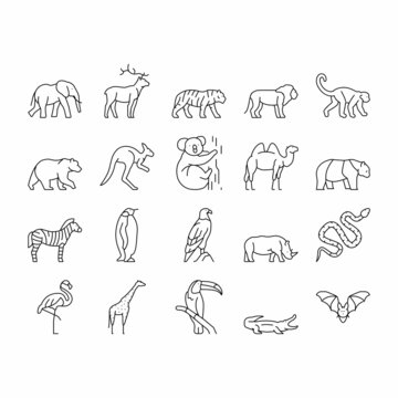Zoo Animals, Birds And Snakes Icons Set Vector .