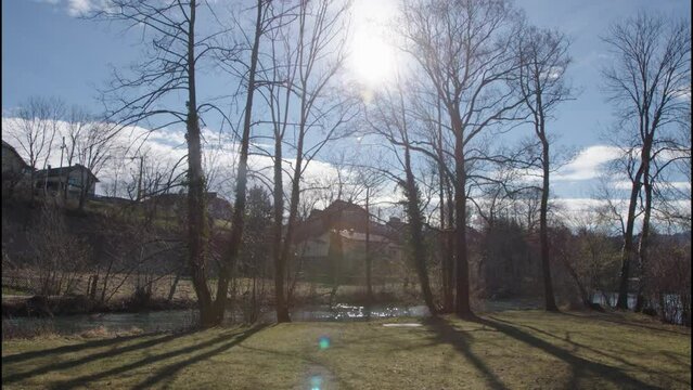 stream meadow with trees near Ager river
