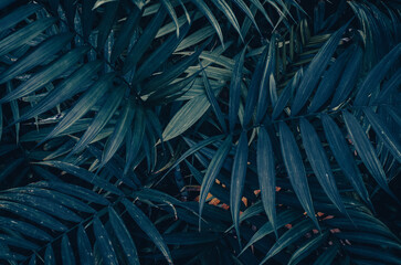 Fondo hojas, abstracto tropical