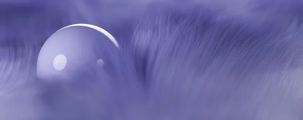 Crédence de cuisine en verre imprimé Pantone 2022 very peri Arrière-plan abstrait 3D de la sphère violette en fourrure violette. Veri Peri Couleur de l& 39 année 2022. Rendu 3D