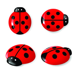 Set of Ladybugs set on white background. Bright insects 