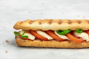 panini caprese with tomato, mozzarella and basil, Caprese Panini Sandwich. Delicious breakfast or snack, Clean eating, dieting, vegan food concept. top view