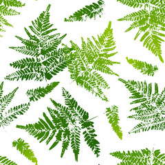Seamless pattern with fern leaves paint prints isolated on white background 16