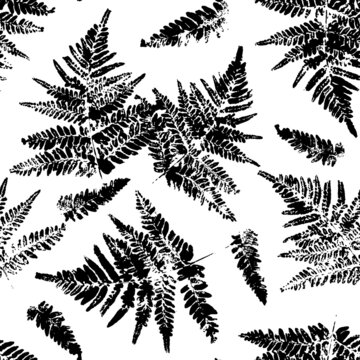 Seamless pattern with fern leaves paint prints isolated on white background 10