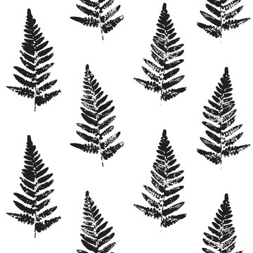 Seamless pattern with fern leaves paint prints isolated on white background 5