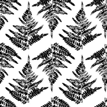 Seamless pattern with fern leaves paint prints isolated on white background 11