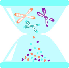 Telomere length loss as an hourglass