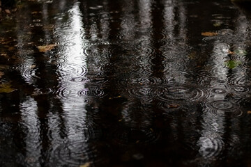 Rain on water. Circles in puddle. Texture of rain. Cloudy weather.