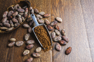 Cocoa powder and cocoa bean on wooden table