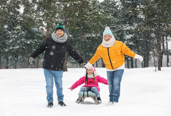 Fototapeta na wymiar Little girl with her grandparents sledging on snowy winter day