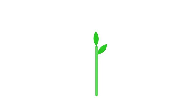 animated sprout. protection of the Earth and resources. conservation of ecology. 4k video illustration. 