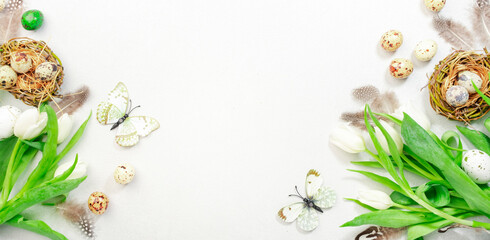 Spring Easter holiday white background with tulips, quail eggs, butterflies and feathers in a nest. Banner with copy space. Top view