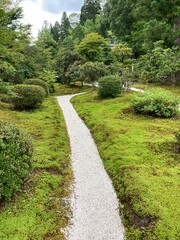 path in the garden