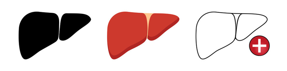 Human liver icon set