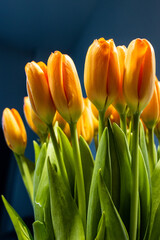 Pomarańczowe tulipany