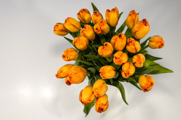 Pomarańczowe tulipany