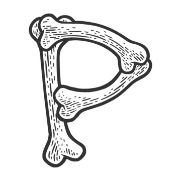 letter P made of bones sketch engraving vector illustration. Bones font. T-shirt apparel print design. Scratch board imitation. Black and white hand drawn image.