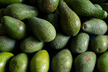 Ripe avocado sold in the market