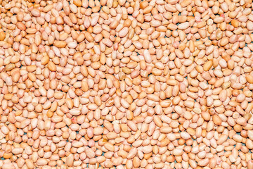 monkey nut-Close up view of peanut or groundnut. Peanut pellets on the whole background. This can be used as a business card background and can be used as an advertising image.