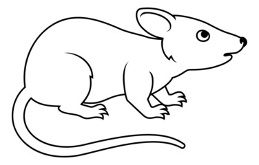 Rat Chinese Zodiac Horoscope Animal Year Sign