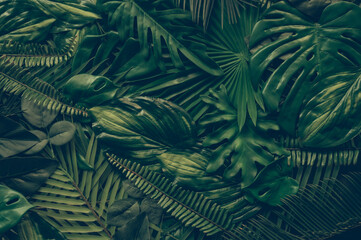 Abstract green leaves nature texture background. Creative layout for design,thailand