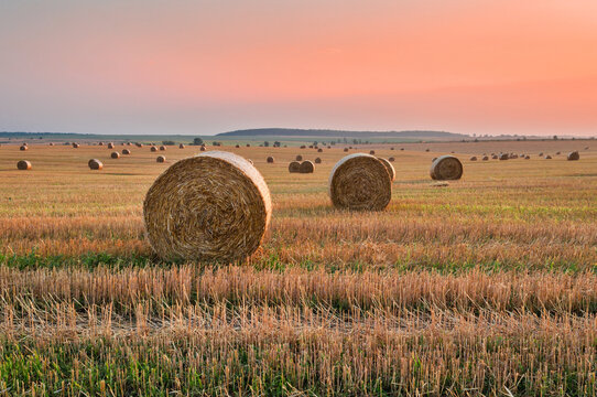 Sky in the colors of the sunset over a field with rolls of mown straw