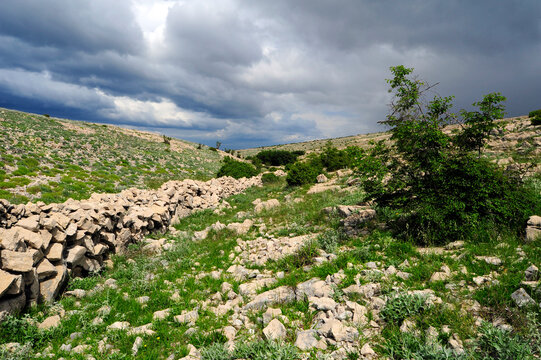 Natural stone wall in landscape of the Croatian island of Pag // Natursteinmauer auf der kroatischen Insel Pag