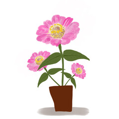 painting of pink flowers in pots