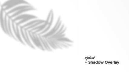 natural shadow overlay