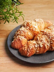 Freshly French baked croissant with almonds on plate on wood background. Breakfast concept with croissants. Two lush hot croissants. Cope space. Close up.
