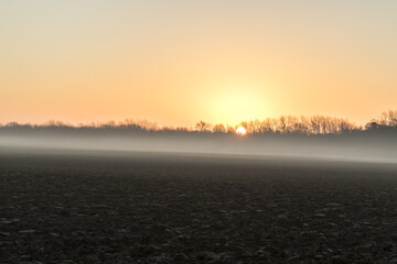 sunrise in the fog